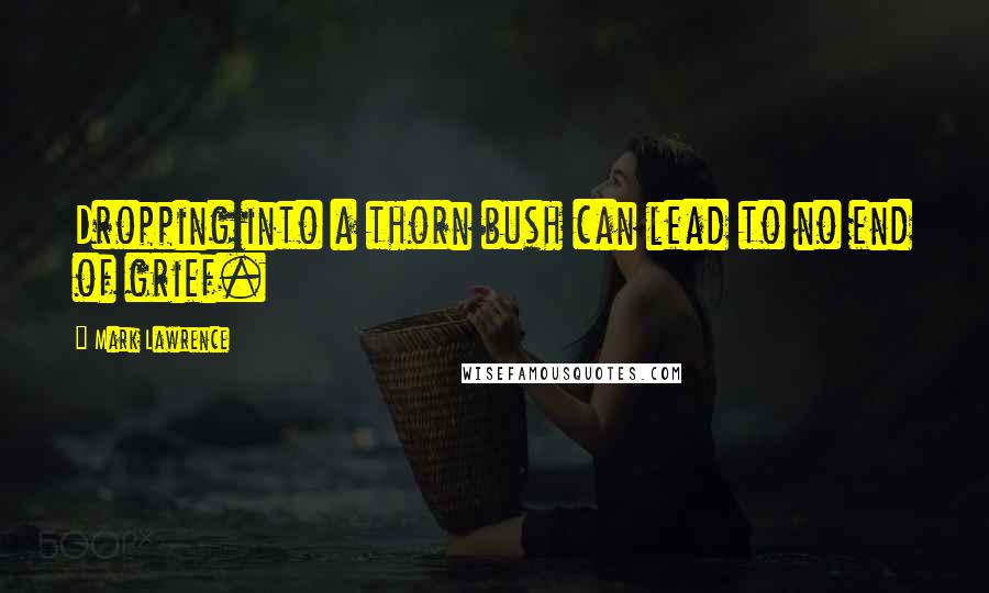 Mark Lawrence Quotes: Dropping into a thorn bush can lead to no end of grief.