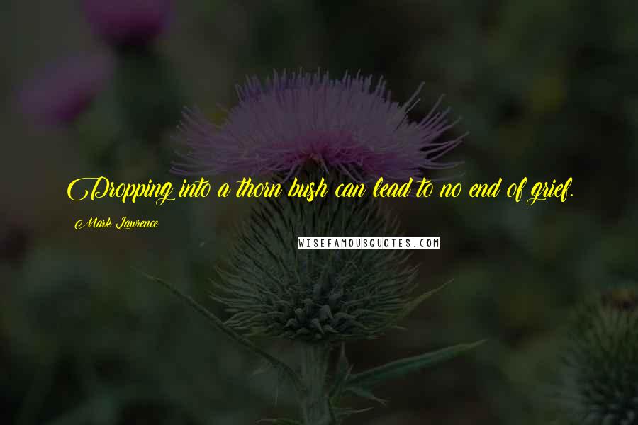 Mark Lawrence Quotes: Dropping into a thorn bush can lead to no end of grief.