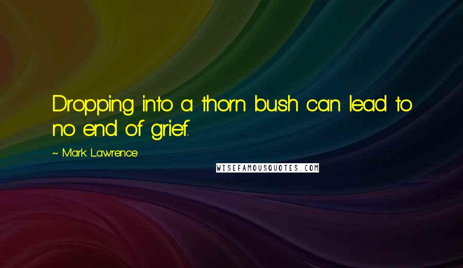 Mark Lawrence Quotes: Dropping into a thorn bush can lead to no end of grief.