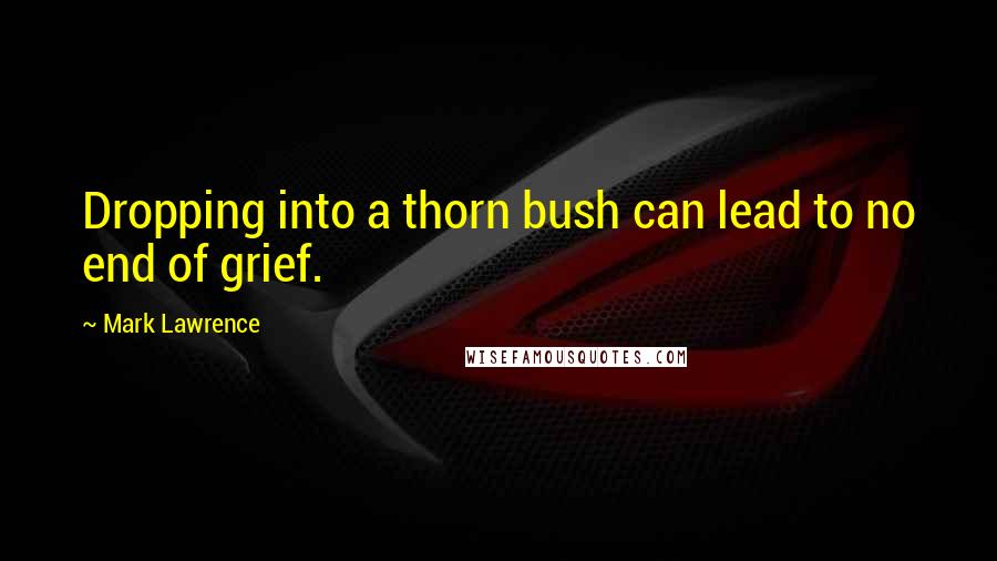 Mark Lawrence Quotes: Dropping into a thorn bush can lead to no end of grief.