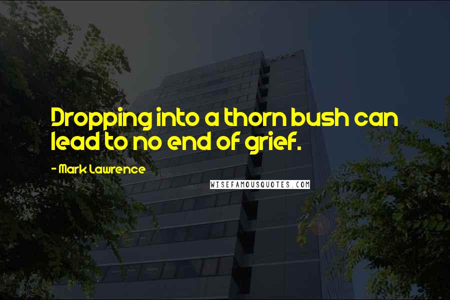 Mark Lawrence Quotes: Dropping into a thorn bush can lead to no end of grief.