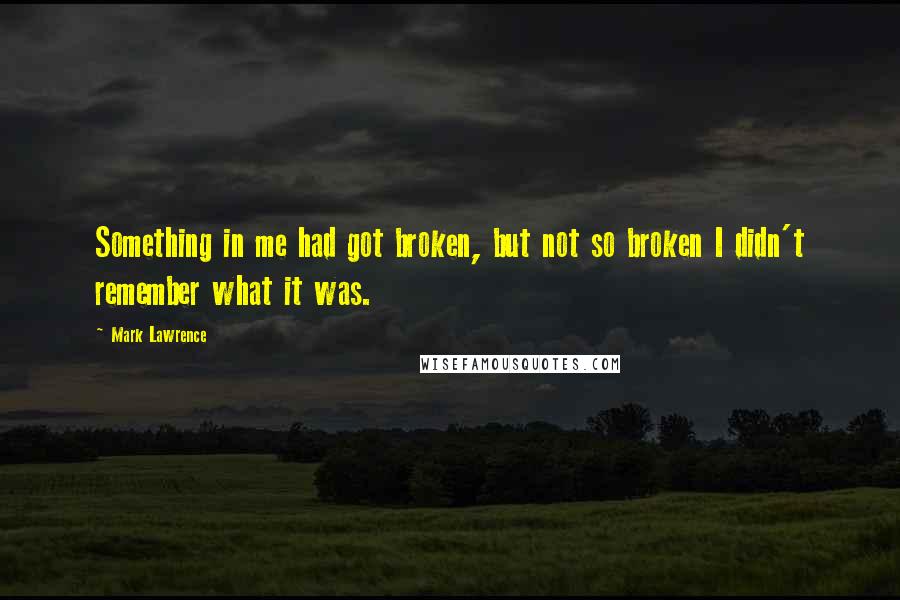 Mark Lawrence Quotes: Something in me had got broken, but not so broken I didn't remember what it was.