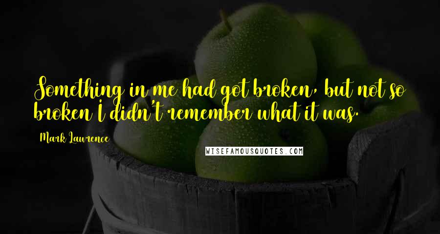 Mark Lawrence Quotes: Something in me had got broken, but not so broken I didn't remember what it was.