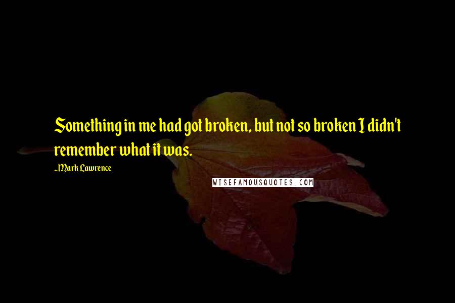 Mark Lawrence Quotes: Something in me had got broken, but not so broken I didn't remember what it was.