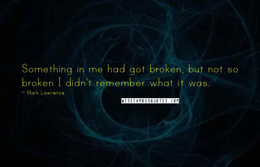 Mark Lawrence Quotes: Something in me had got broken, but not so broken I didn't remember what it was.