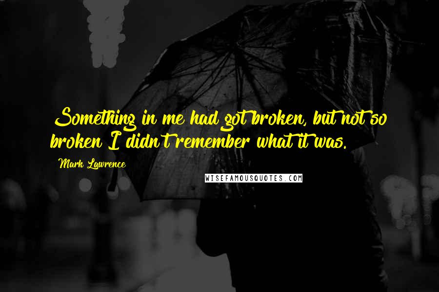 Mark Lawrence Quotes: Something in me had got broken, but not so broken I didn't remember what it was.