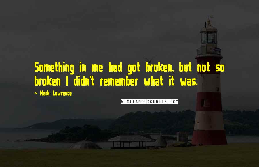 Mark Lawrence Quotes: Something in me had got broken, but not so broken I didn't remember what it was.