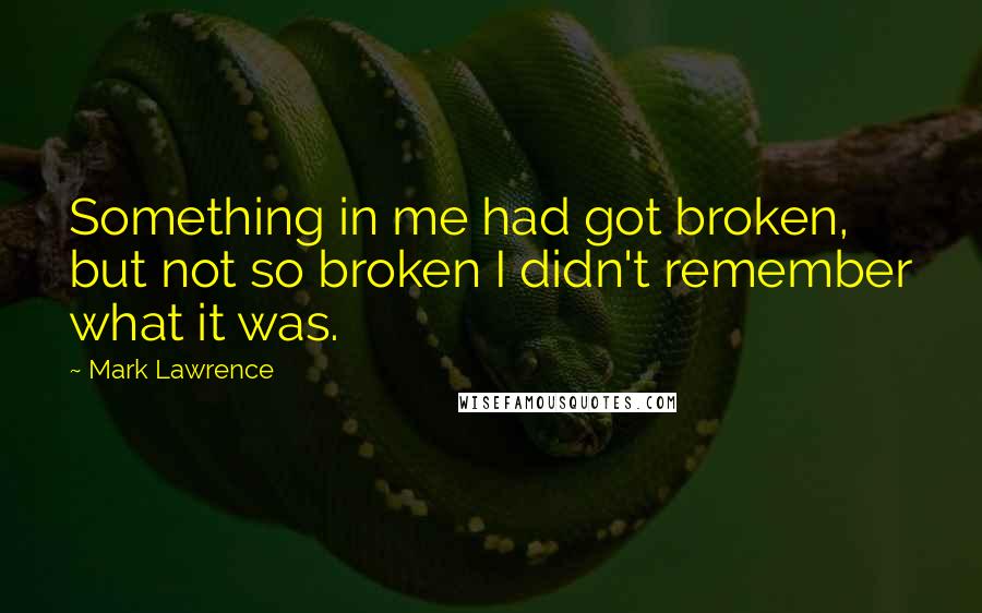 Mark Lawrence Quotes: Something in me had got broken, but not so broken I didn't remember what it was.