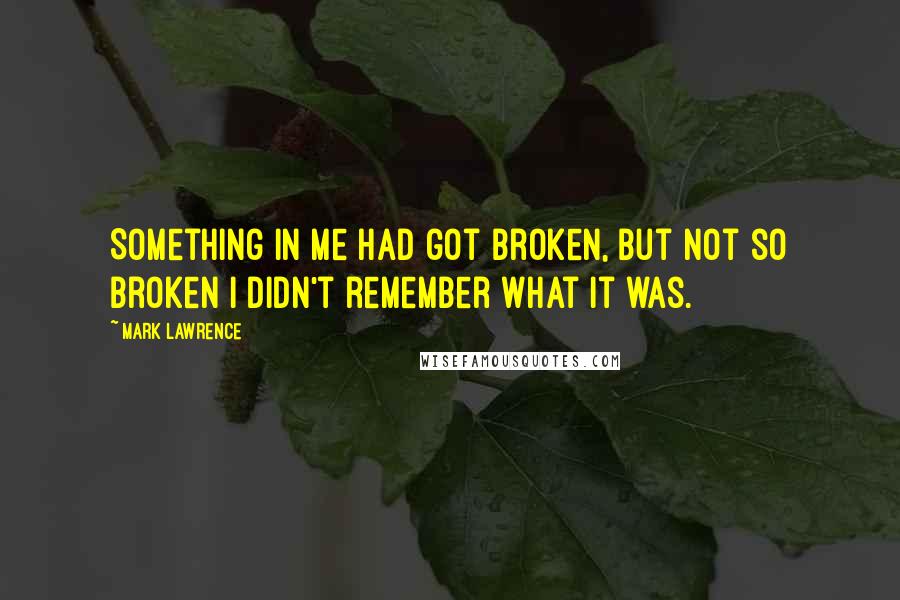 Mark Lawrence Quotes: Something in me had got broken, but not so broken I didn't remember what it was.