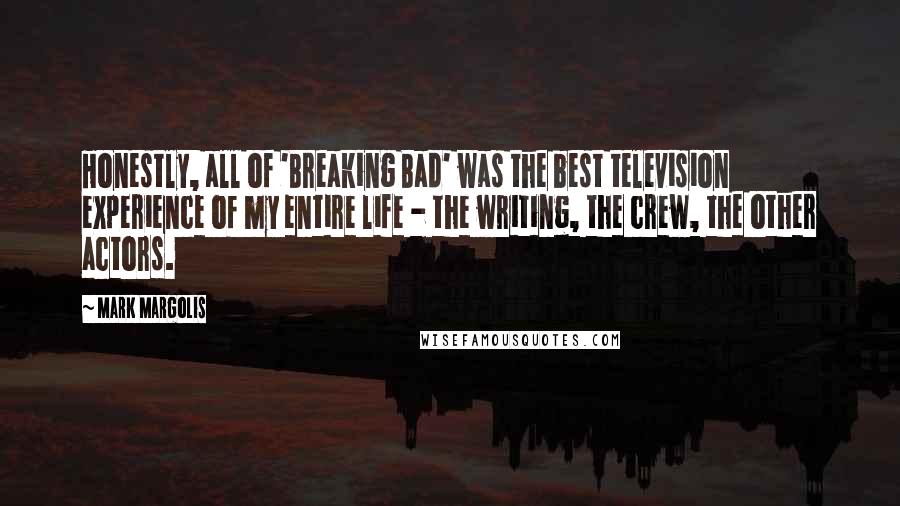 Mark Margolis Quotes: Honestly, all of 'Breaking Bad' was the best television experience of my entire life - the writing, the crew, the other actors.