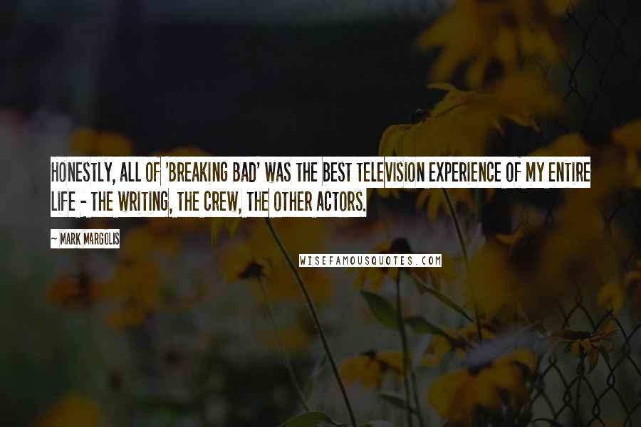 Mark Margolis Quotes: Honestly, all of 'Breaking Bad' was the best television experience of my entire life - the writing, the crew, the other actors.