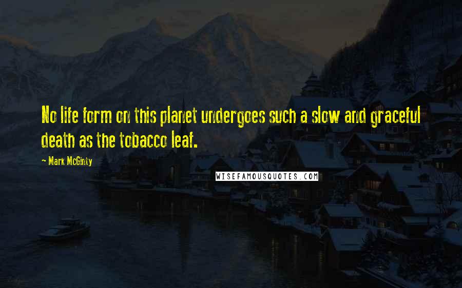 Mark McGinty Quotes: No life form on this planet undergoes such a slow and graceful death as the tobacco leaf.