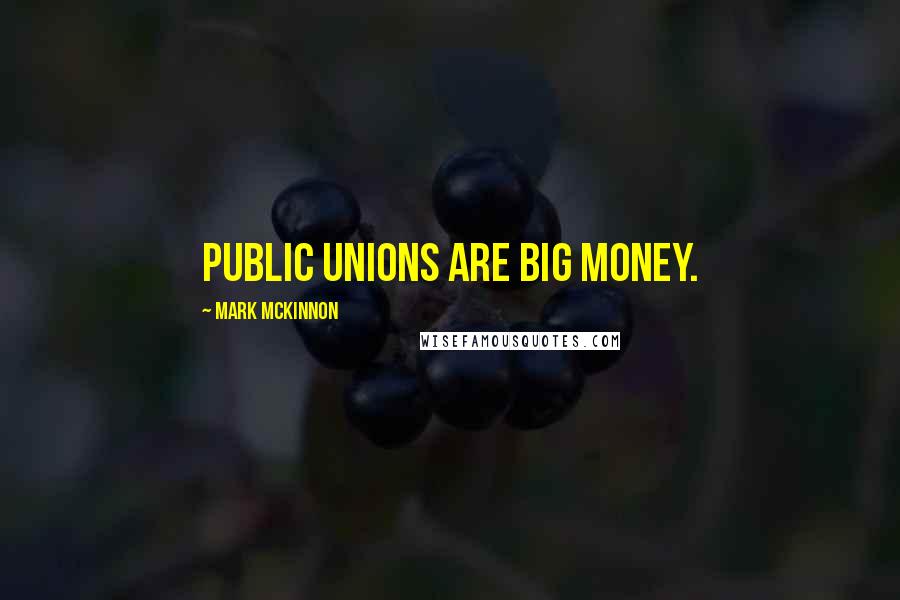 Mark McKinnon Quotes: Public unions are big money.