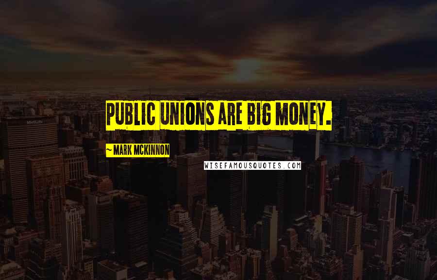 Mark McKinnon Quotes: Public unions are big money.
