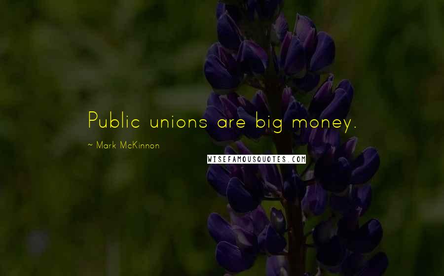 Mark McKinnon Quotes: Public unions are big money.