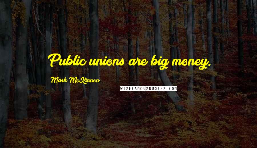 Mark McKinnon Quotes: Public unions are big money.