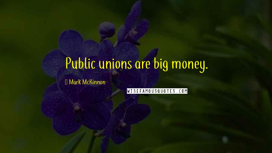 Mark McKinnon Quotes: Public unions are big money.