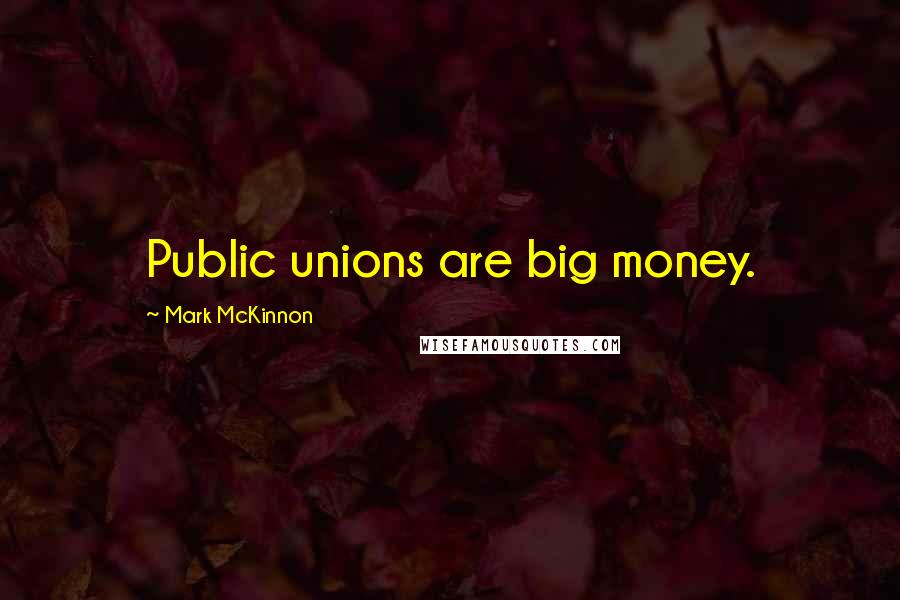 Mark McKinnon Quotes: Public unions are big money.