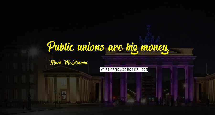 Mark McKinnon Quotes: Public unions are big money.