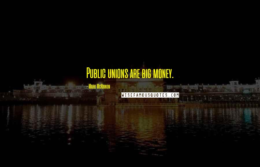Mark McKinnon Quotes: Public unions are big money.