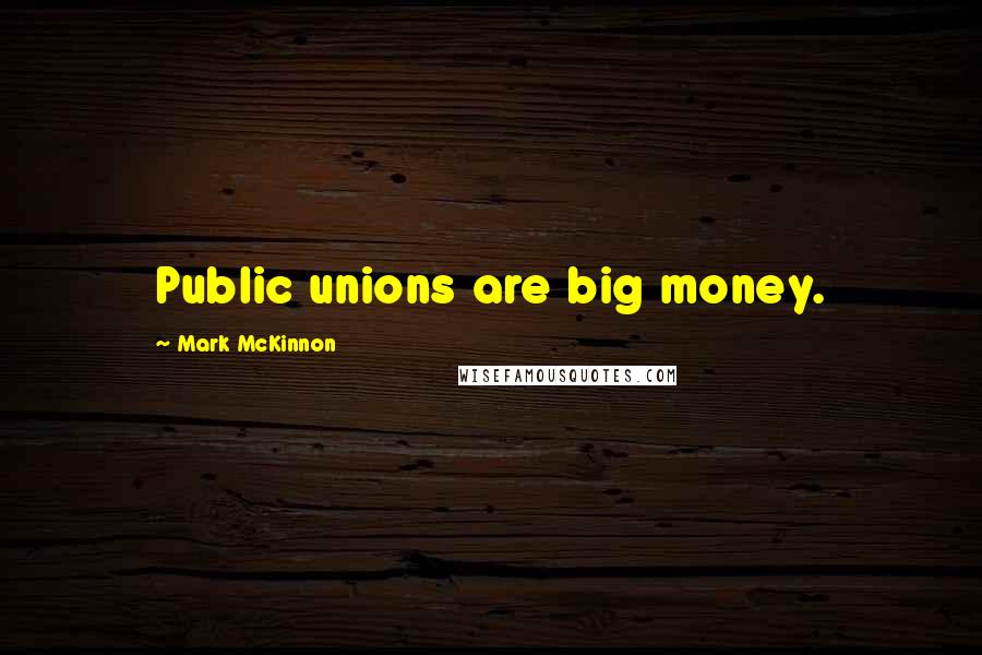 Mark McKinnon Quotes: Public unions are big money.