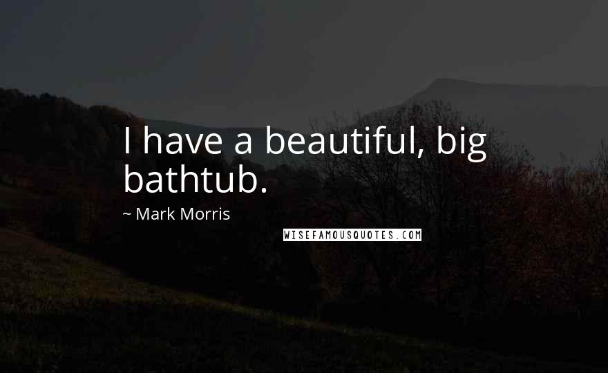 Mark Morris Quotes: I have a beautiful, big bathtub.