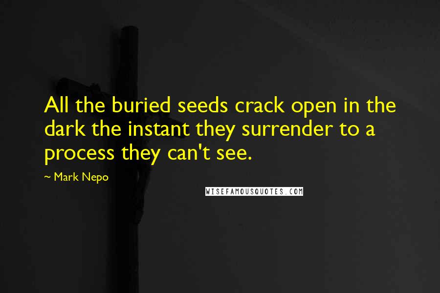 Mark Nepo Quotes: All the buried seeds crack open in the dark the instant they surrender to a process they can't see.