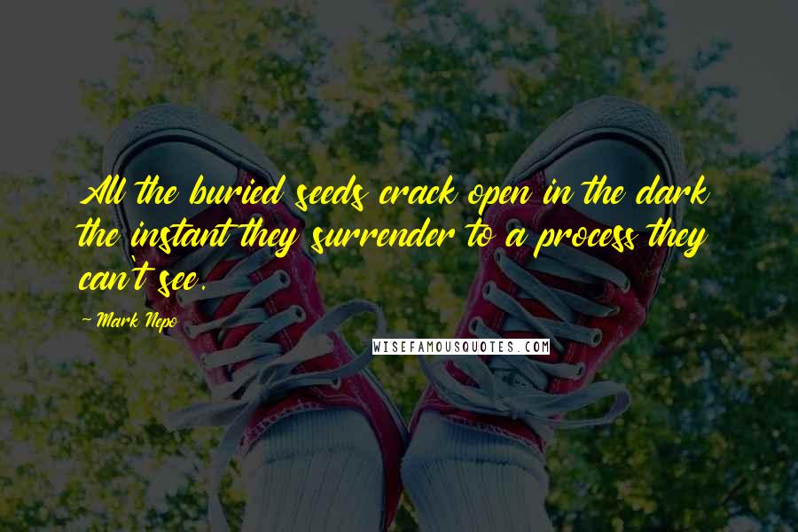 Mark Nepo Quotes: All the buried seeds crack open in the dark the instant they surrender to a process they can't see.