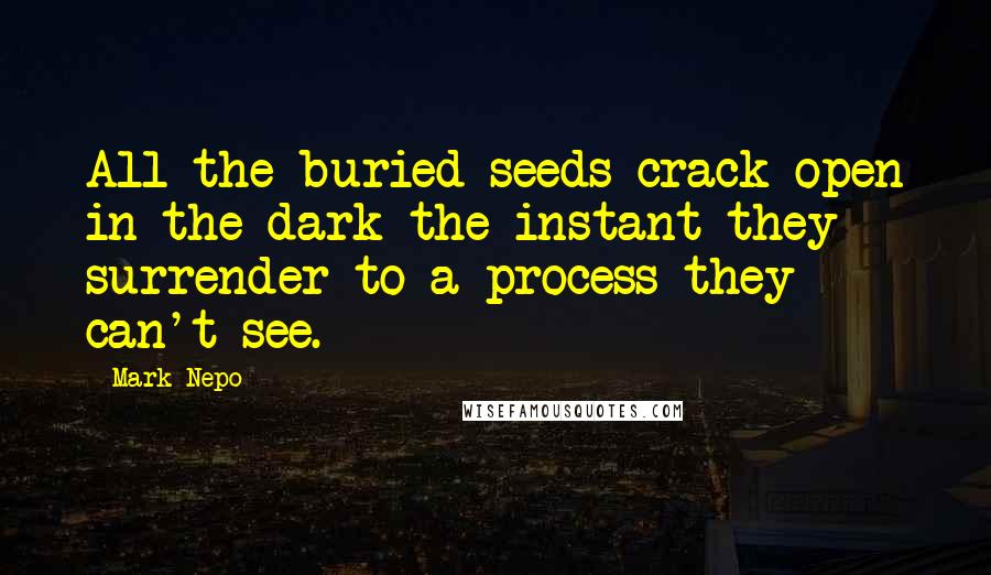 Mark Nepo Quotes: All the buried seeds crack open in the dark the instant they surrender to a process they can't see.