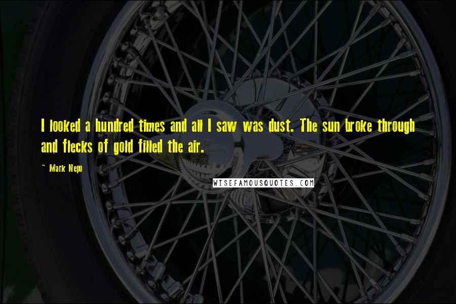 Mark Nepo Quotes: I looked a hundred times and all I saw was dust. The sun broke through and flecks of gold filled the air.