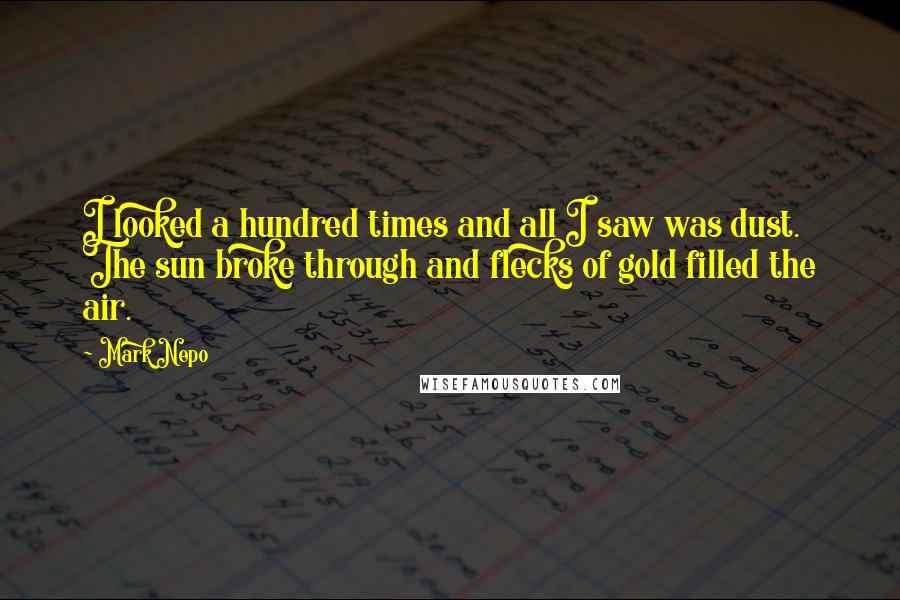 Mark Nepo Quotes: I looked a hundred times and all I saw was dust. The sun broke through and flecks of gold filled the air.