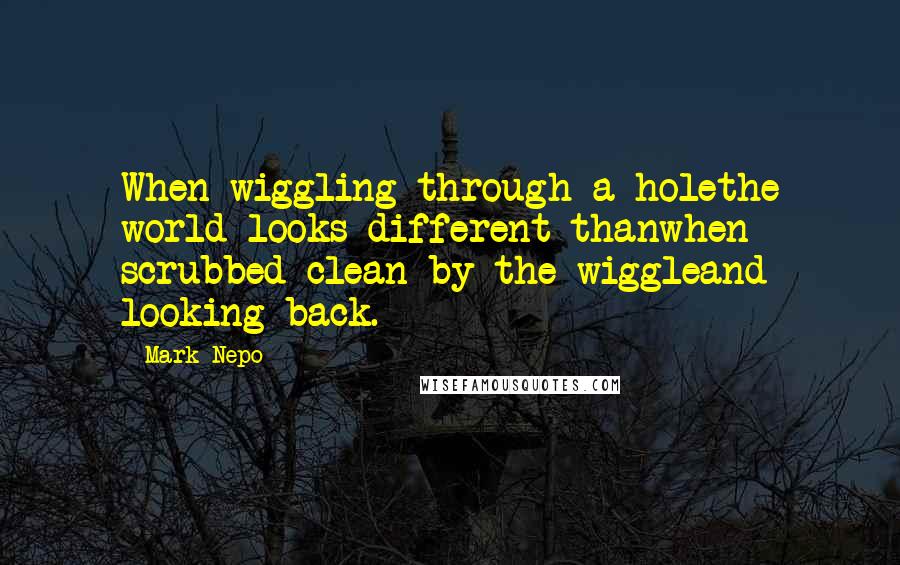 Mark Nepo Quotes: When wiggling through a holethe world looks different thanwhen scrubbed clean by the wiggleand looking back.