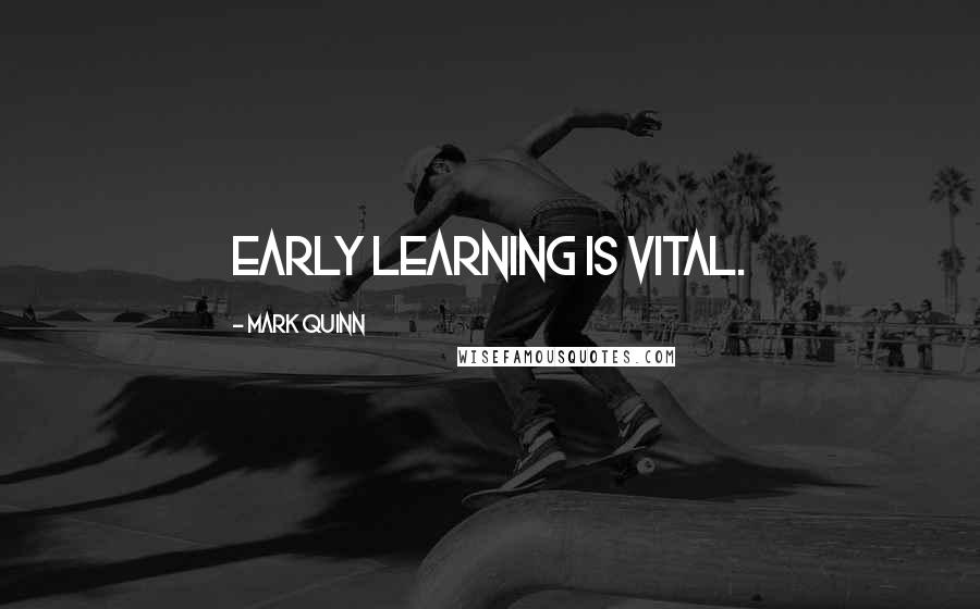 Mark Quinn Quotes: Early Learning is Vital.