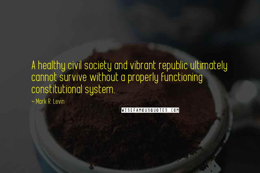 Mark R. Levin Quotes: A healthy civil society and vibrant republic ultimately cannot survive without a properly functioning constitutional system.