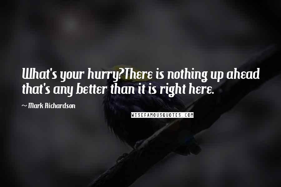 Mark Richardson Quotes: What's your hurry?There is nothing up ahead that's any better than it is right here.