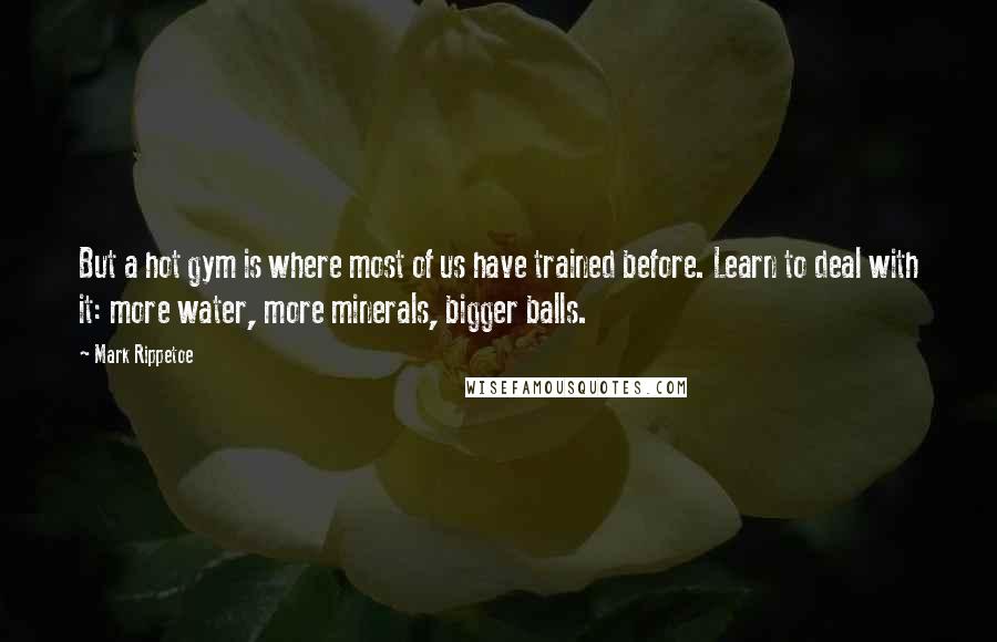 Mark Rippetoe Quotes: But a hot gym is where most of us have trained before. Learn to deal with it: more water, more minerals, bigger balls.