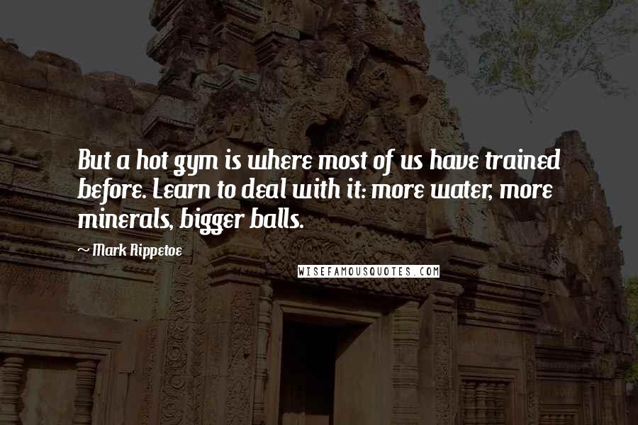 Mark Rippetoe Quotes: But a hot gym is where most of us have trained before. Learn to deal with it: more water, more minerals, bigger balls.