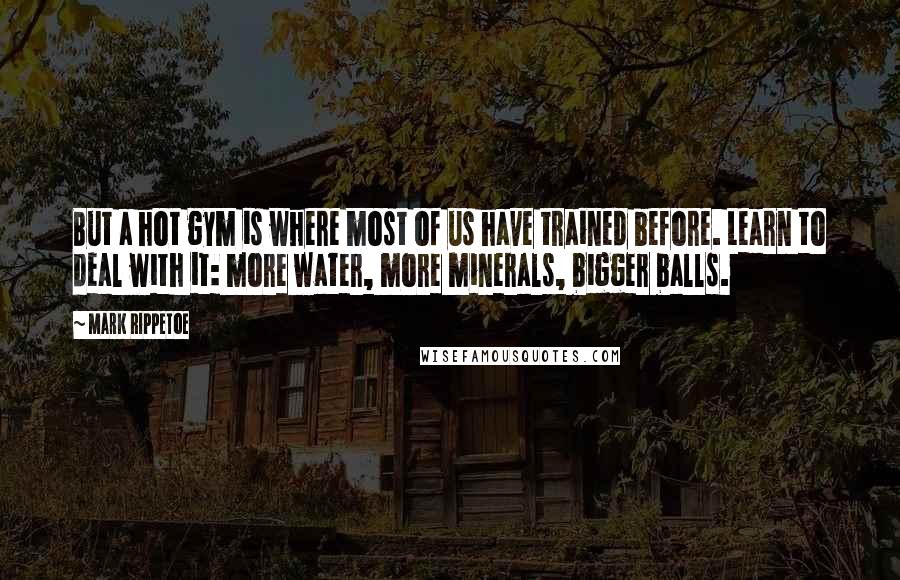 Mark Rippetoe Quotes: But a hot gym is where most of us have trained before. Learn to deal with it: more water, more minerals, bigger balls.