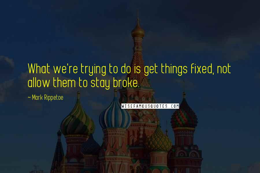 Mark Rippetoe Quotes: What we're trying to do is get things fixed, not allow them to stay broke.