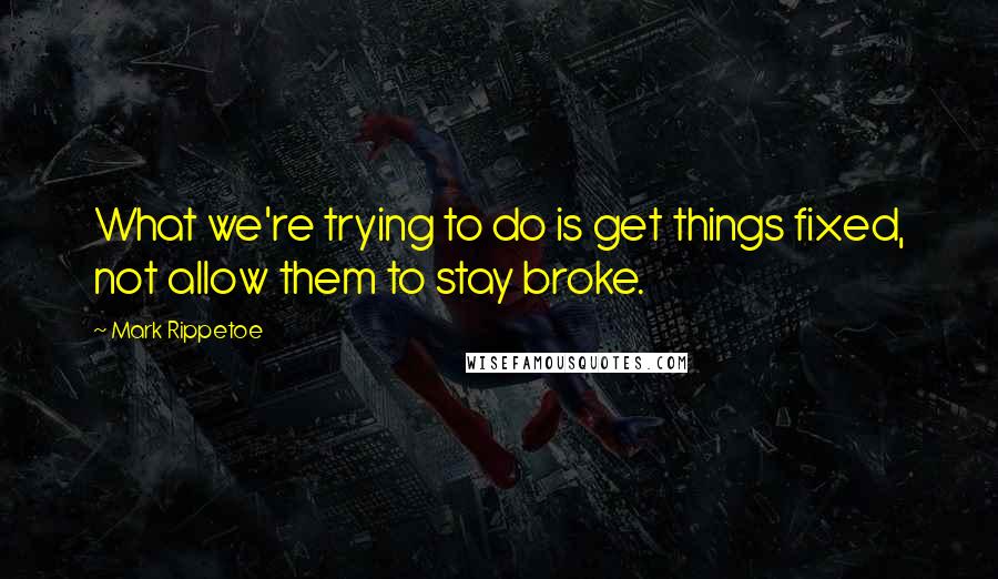 Mark Rippetoe Quotes: What we're trying to do is get things fixed, not allow them to stay broke.