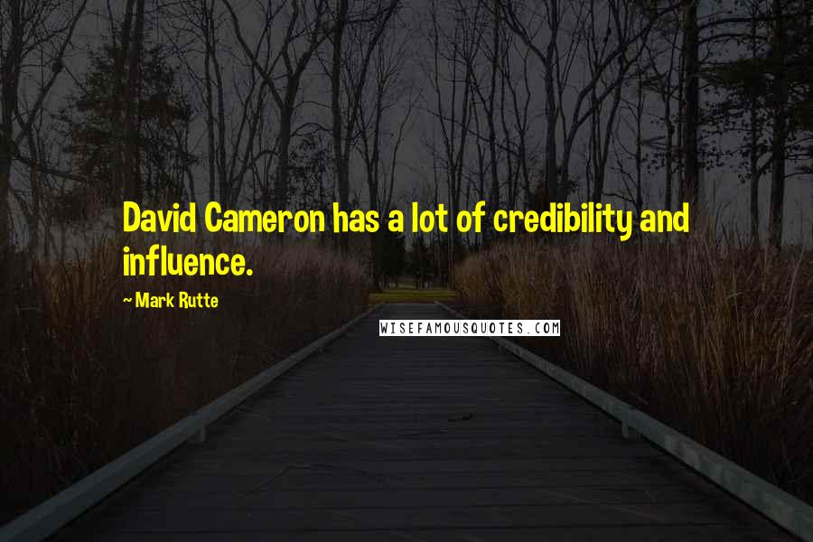 Mark Rutte Quotes: David Cameron has a lot of credibility and influence.