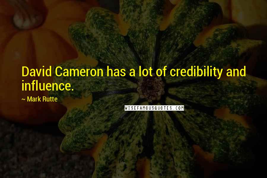 Mark Rutte Quotes: David Cameron has a lot of credibility and influence.