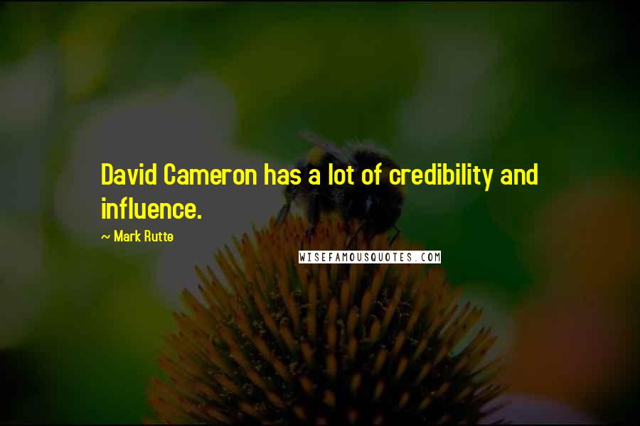 Mark Rutte Quotes: David Cameron has a lot of credibility and influence.