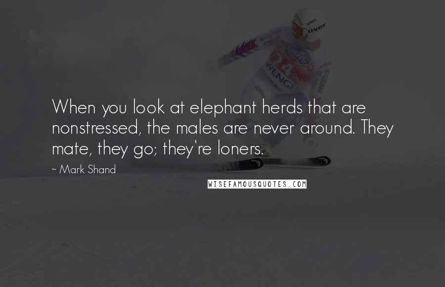 Mark Shand Quotes: When you look at elephant herds that are nonstressed, the males are never around. They mate, they go; they're loners.