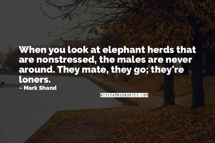 Mark Shand Quotes: When you look at elephant herds that are nonstressed, the males are never around. They mate, they go; they're loners.