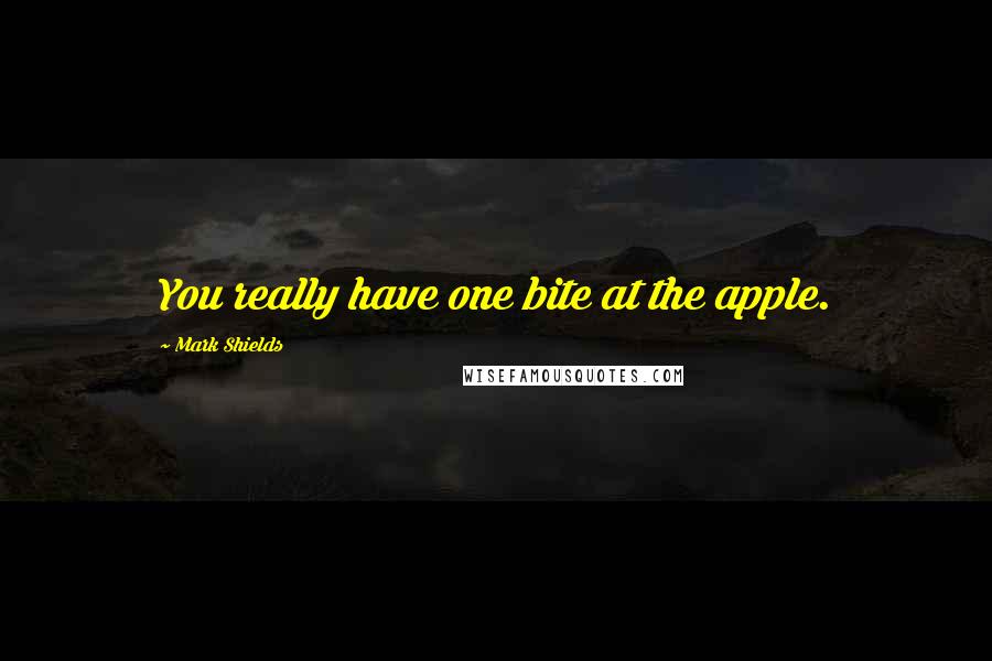Mark Shields Quotes: You really have one bite at the apple.