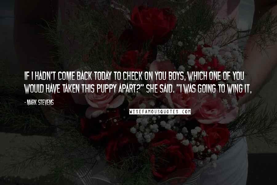 Mark Stevens Quotes: If I hadn't come back today to check on you boys, which one of you would have taken this puppy apart?" she said. "I was going to wing it,