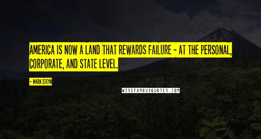 Mark Steyn Quotes: America is now a land that rewards failure - at the personal, corporate, and state level.