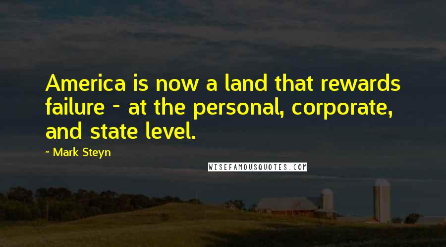 Mark Steyn Quotes: America is now a land that rewards failure - at the personal, corporate, and state level.