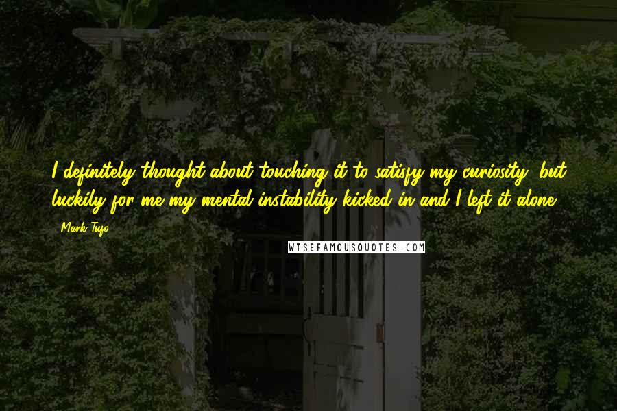 Mark Tufo Quotes: I definitely thought about touching it to satisfy my curiosity, but luckily for me my mental instability kicked in and I left it alone.